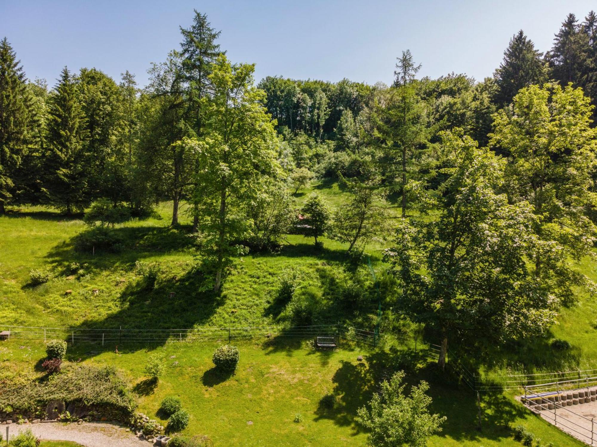 Apartament Balzerberg Weiler-Simmerberg Zewnętrze zdjęcie